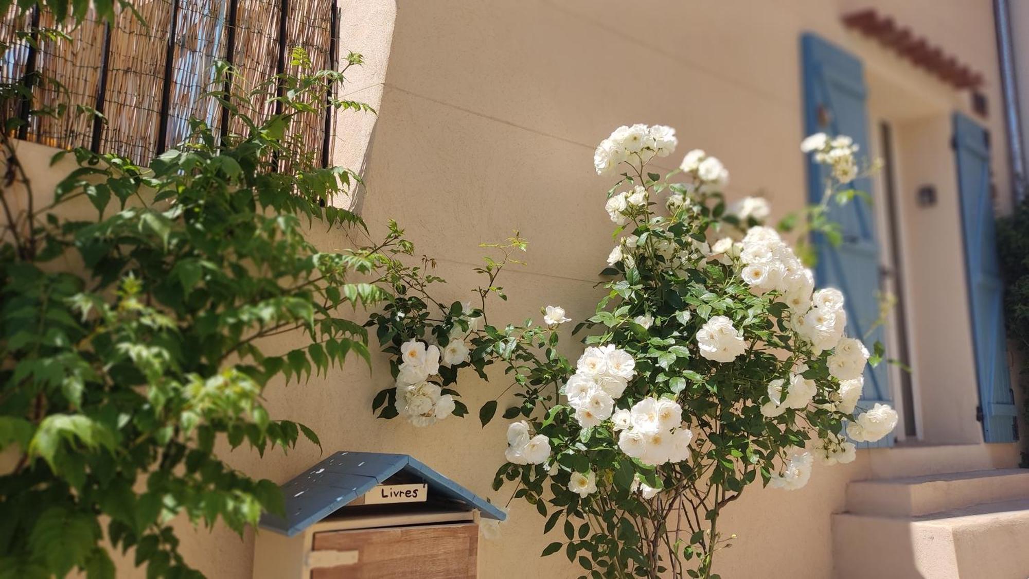 Petite Pause A Pourrieres, Appartement 40M2 エクステリア 写真